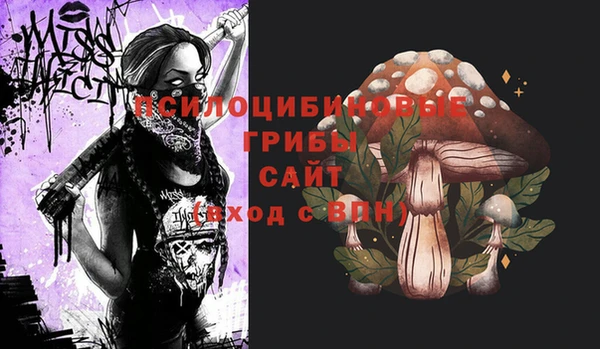 крисы Алексеевка