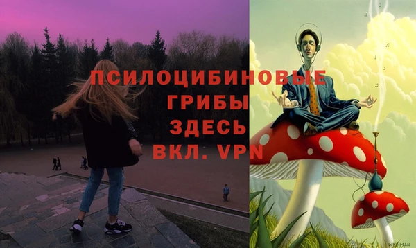 крисы Алексеевка
