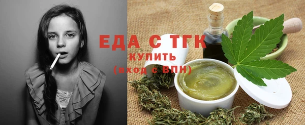 шишки Сатка