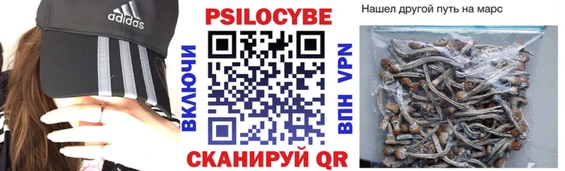 Псилоцибиновые грибы Magic Shrooms  Алексин 