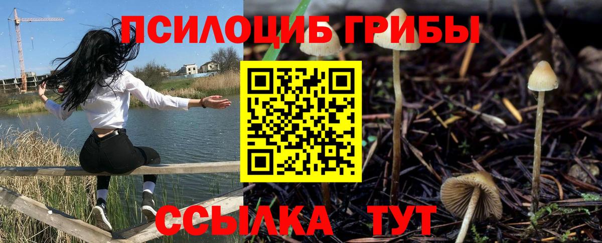 Галлюциногенные грибы мухоморы Алексин