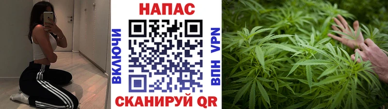 Каннабис White Widow  blacksprut ссылка  Алексин 